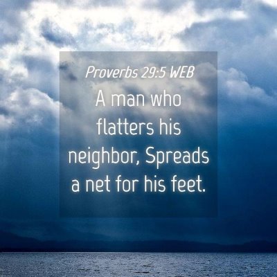 Picture 04 - Proverbs 29:5 WEB - A man who flatters his neighbor, Spreads a net - Bible Verse Picture