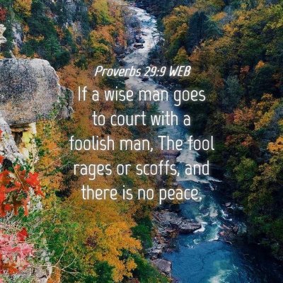 Picture 04 - Proverbs 29:9 WEB - If a wise man goes to court with a foolish man, - Bible Verse Picture