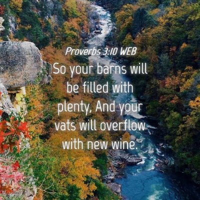 Picture 04 - Proverbs 3:10 WEB - So your barns will be filled with plenty, And - Bible Verse Picture
