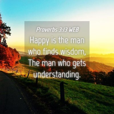 Picture 04 - Proverbs 3:13 WEB - Happy is the man who finds wisdom, The man who - Bible Verse Picture