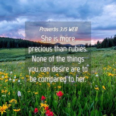 Picture 04 - Proverbs 3:15 WEB - She is more precious than rubies. None of the - Bible Verse Picture