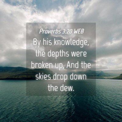 Picture 04 - Proverbs 3:20 WEB - By his knowledge, the depths were broken up, And - Bible Verse Picture