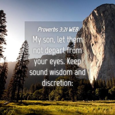 Picture 04 - Proverbs 3:21 WEB - My son, let them not depart from your eyes. Keep - Bible Verse Picture