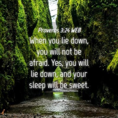 Picture 04 - Proverbs 3:24 WEB - When you lie down, you will not be afraid. Yes, - Bible Verse Picture