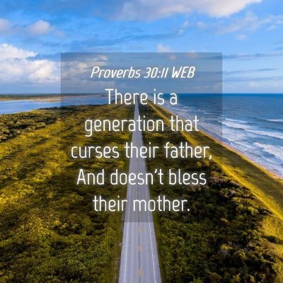 Picture 04 - Proverbs 30:11 WEB - There is a generation that curses their father, - Bible Verse Picture