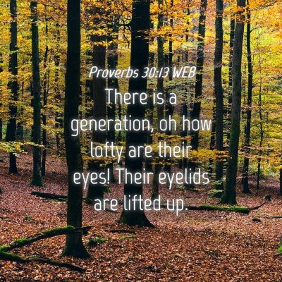Picture 04 - Proverbs 30:13 WEB - There is a generation, oh how lofty are their - Bible Verse Picture