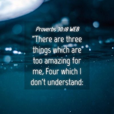 Picture 04 - Proverbs 30:18 WEB - 