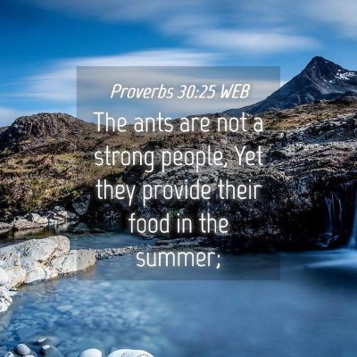 Picture 04 - Proverbs 30:25 WEB - The ants are not a strong people, Yet they - Bible Verse Picture