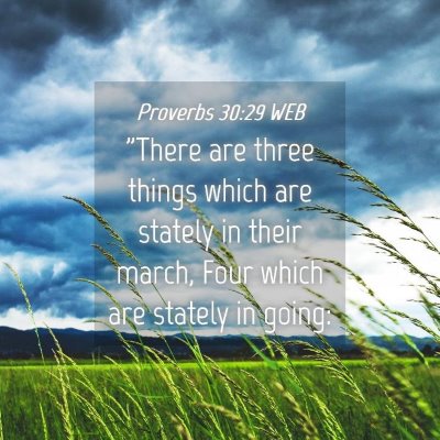 Picture 04 - Proverbs 30:29 WEB - 