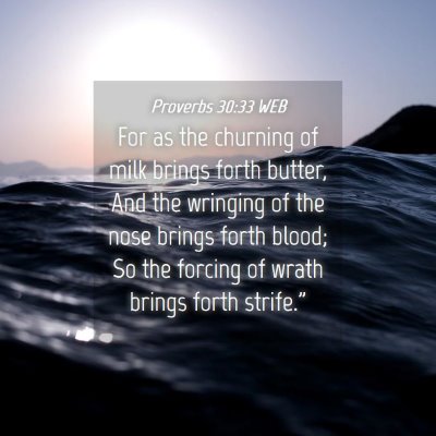 Picture 04 - Proverbs 30:33 WEB - For as the churning of milk brings forth butter, - Bible Verse Picture