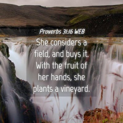 Picture 04 - Proverbs 31:16 WEB - She considers a field, and buys it. With the - Bible Verse Picture