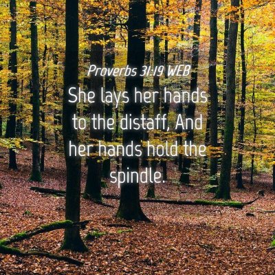 Picture 04 - Proverbs 31:19 WEB - She lays her hands to the distaff, And her hands - Bible Verse Picture