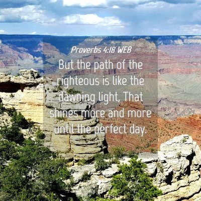 Picture 04 - Proverbs 4:18 WEB - But the path of the righteous is like the dawning - Bible Verse Picture