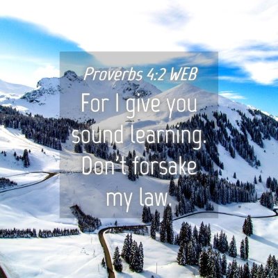 Picture 04 - Proverbs 4:2 WEB - For I give you sound learning. Don't forsake my - Bible Verse Picture