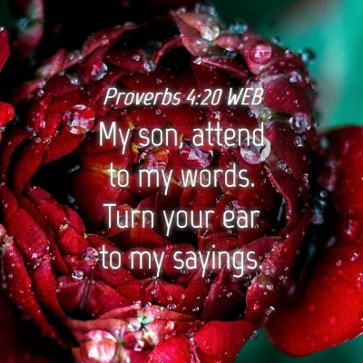 Picture 04 - Proverbs 4:20 WEB - My son, attend to my words. Turn your ear to my - Bible Verse Picture