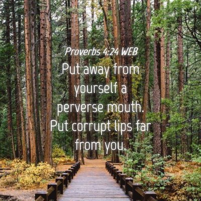 Picture 04 - Proverbs 4:24 WEB - Put away from yourself a perverse mouth. Put - Bible Verse Picture
