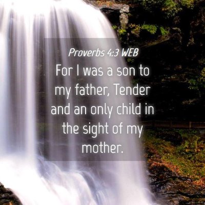 Picture 04 - Proverbs 4:3 WEB - For I was a son to my father, Tender and an only - Bible Verse Picture