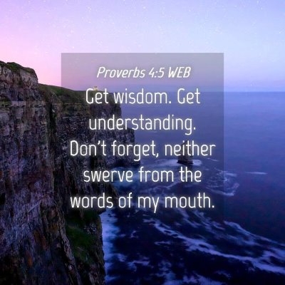 Picture 04 - Proverbs 4:5 WEB - Get wisdom. Get understanding. Don't forget, - Bible Verse Picture