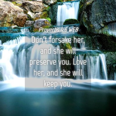 Picture 04 - Proverbs 4:6 WEB - Don't forsake her, and she will preserve you. - Bible Verse Picture