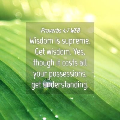 Picture 04 - Proverbs 4:7 WEB - Wisdom is supreme. Get wisdom. Yes, though it - Bible Verse Picture
