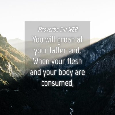 Picture 04 - Proverbs 5:11 WEB - You will groan at your latter end, When your - Bible Verse Picture