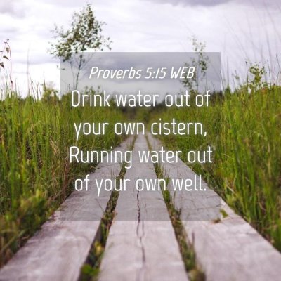 Picture 04 - Proverbs 5:15 WEB - Drink water out of your own cistern, Running - Bible Verse Picture