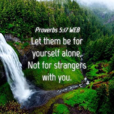 Picture 04 - Proverbs 5:17 WEB - Let them be for yourself alone, Not for strangers - Bible Verse Picture