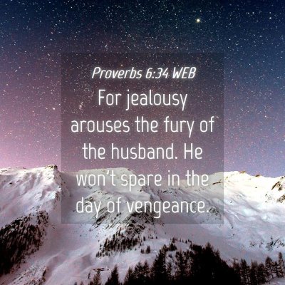 Picture 04 - Proverbs 6:34 WEB - For jealousy arouses the fury of the husband. He - Bible Verse Picture