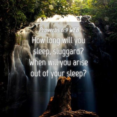 Picture 04 - Proverbs 6:9 WEB - How long will you sleep, sluggard? When will you - Bible Verse Picture
