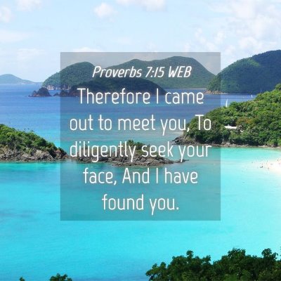 Picture 04 - Proverbs 7:15 WEB - Therefore I came out to meet you, To diligently - Bible Verse Picture
