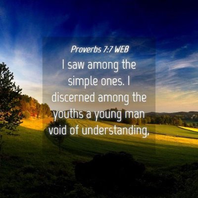 Picture 04 - Proverbs 7:7 WEB - I saw among the simple ones. I discerned among - Bible Verse Picture