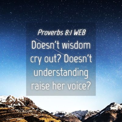Picture 04 - Proverbs 8:1 WEB - Doesn't wisdom cry out? Doesn't understanding - Bible Verse Picture