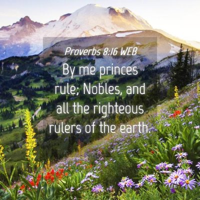 Picture 04 - Proverbs 8:16 WEB - By me princes rule; Nobles, and all the righteous - Bible Verse Picture