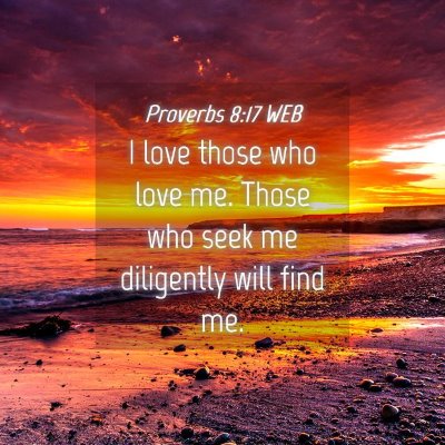 Picture 04 - Proverbs 8:17 WEB - I love those who love me. Those who seek me - Bible Verse Picture