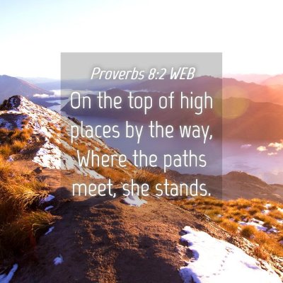 Picture 04 - Proverbs 8:2 WEB - On the top of high places by the way, Where the - Bible Verse Picture