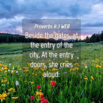 Picture 04 - Proverbs 8:3 WEB - Beside the gates, at the entry of the city, At - Bible Verse Picture