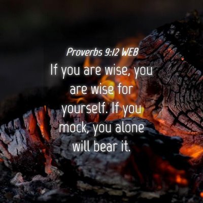 Picture 04 - Proverbs 9:12 WEB - If you are wise, you are wise for yourself. If - Bible Verse Picture