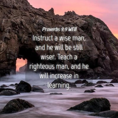 Picture 04 - Proverbs 9:9 WEB - Instruct a wise man, and he will be still wiser. - Bible Verse Picture