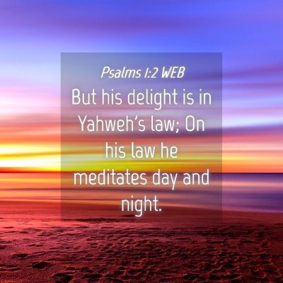 Picture 04 - Psalms 1:2 WEB - But his delight is in Yahweh's law; On his law he - Bible Verse Picture
