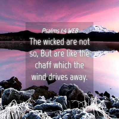 Picture 04 - Psalms 1:4 WEB - The wicked are not so, But are like the chaff - Bible Verse Picture
