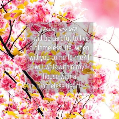 Picture 04 - Psalms 101:2 WEB - I will be careful to live a blameless life. When - Bible Verse Picture