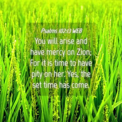 Picture 04 - Psalms 102:13 WEB - You will arise and have mercy on Zion; For it is - Bible Verse Picture