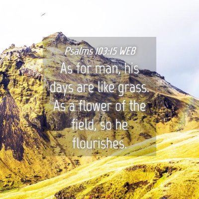 Picture 04 - Psalms 103:15 WEB - As for man, his days are like grass. As a flower - Bible Verse Picture