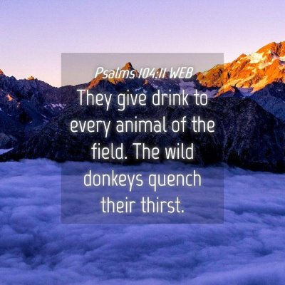 Picture 04 - Psalms 104:11 WEB - They give drink to every animal of the field. The - Bible Verse Picture