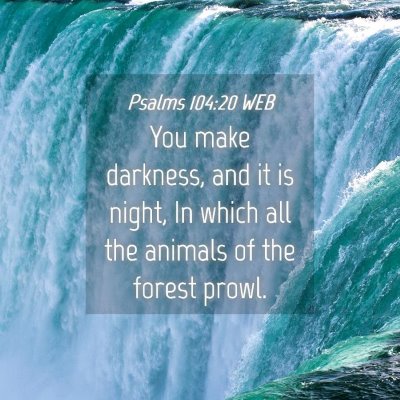 Picture 04 - Psalms 104:20 WEB - You make darkness, and it is night, In which all - Bible Verse Picture