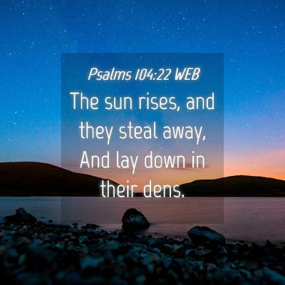 Picture 04 - Psalms 104:22 WEB - The sun rises, and they steal away, And lay down - Bible Verse Picture