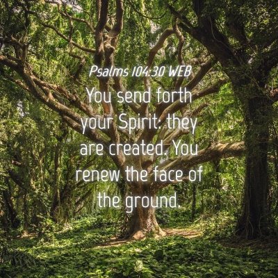 Picture 04 - Psalms 104:30 WEB - You send forth your Spirit: they are created. You - Bible Verse Picture