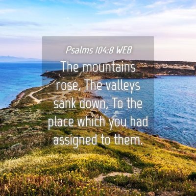 Picture 04 - Psalms 104:8 WEB - The mountains rose, The valleys sank down, To the - Bible Verse Picture