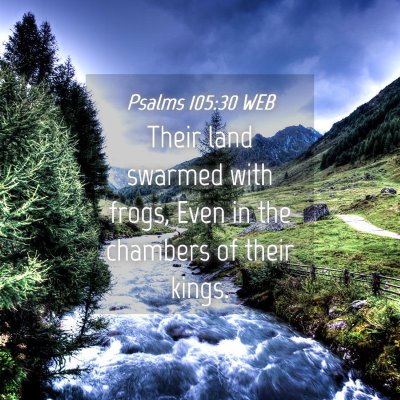 Picture 04 - Psalms 105:30 WEB - Their land swarmed with frogs, Even in the - Bible Verse Picture