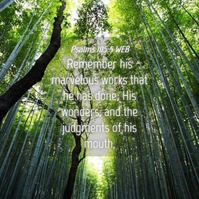Picture 04 - Psalms 105:5 WEB - Remember his marvelous works that he has done; - Bible Verse Picture